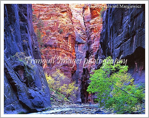 450463---Two hikers wading up the Virgin Narrows